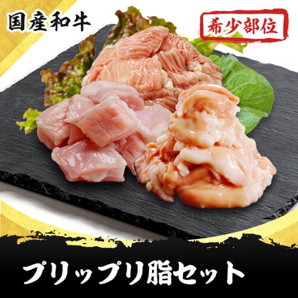 プリップリ脂セット ホルモン人気3点(トロテッチャン、テッチャン、ミノサンド) 900g  国産和牛...