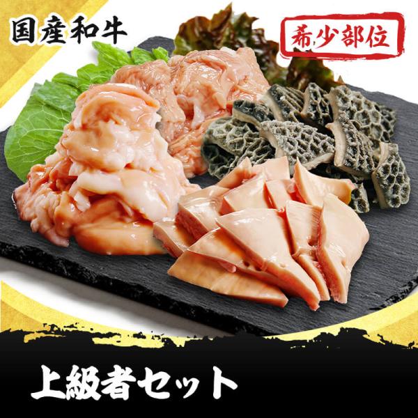 ホルモン上級者セット(トロテッチャン テッポウ ハチノス タケノコ)1.2ｋｇ  国産和牛希少部位ホ...