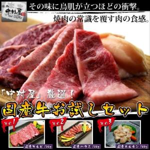 お中元 御中元 牛肉 国産牛お試しセット(カルビ ハラミ ホルモン各100g)｜yakinikunakamurayayh