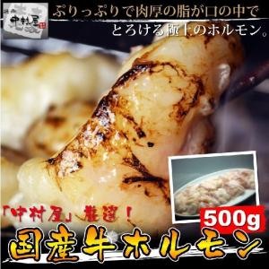 お中元 御中元 牛肉 国産牛 ホルモン 500g 小腸 焼肉 バーベキュー もつ鍋 ホルモンうどん ホルモン焼き 送料無料｜yakinikunakamurayayh