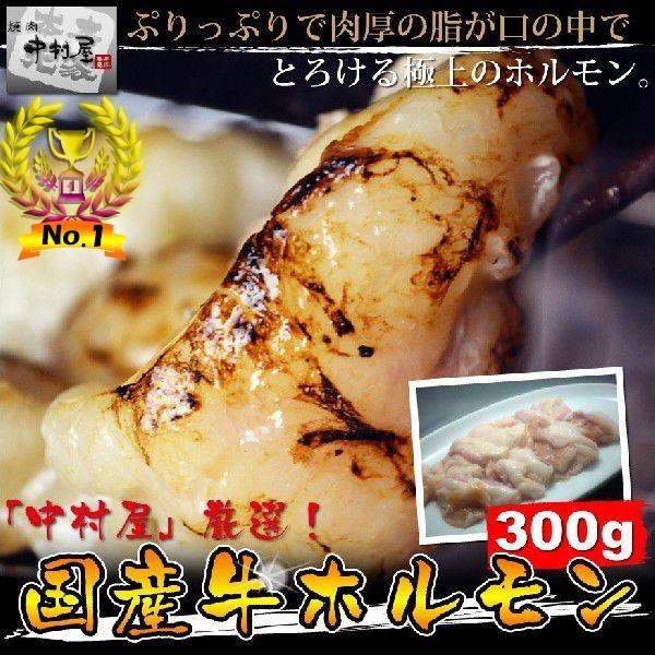 お中元 御中元 牛肉 国産牛 ホルモン300g 小腸 焼肉 バーベキュー もつ鍋 ホルモン うどん ...