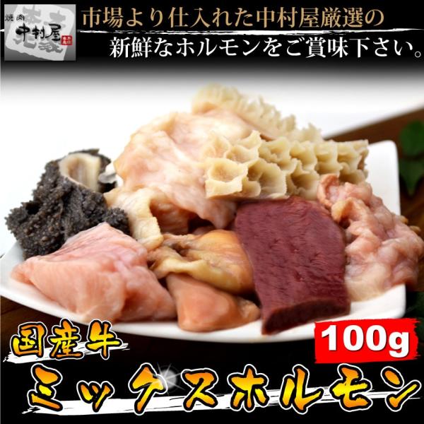 お中元 御中元 ホルモン 牛肉 国産牛 ミックスホルモン 100g 焼肉 バーベキュー もつ鍋 うど...