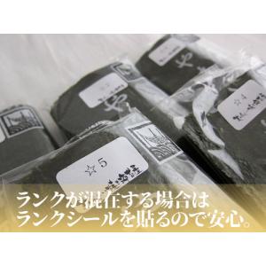 田庄 やきのり 焼き海苔 ランク4 田庄の焼き...の詳細画像1