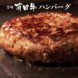 宮崎県有田牛ハンバーグ （150g×5個）テレビで紹介されました
