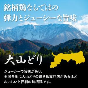 生串 焼き鳥 やきとり 国産 やげんなんこつ ...の詳細画像3