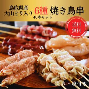 鳥取県産 大山どり 人気 焼き鳥 串 セット 40本 生 バーベキュー
