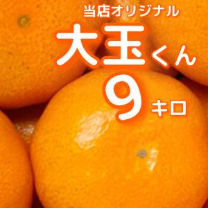 愛媛西宇和　当店オリジナル新鮮組シリーズ！！　大玉くんみかん　訳有家庭用　2Lサイズ以上　　9キロ　家庭用まあなえひめわけあり送料無料別途地域あり