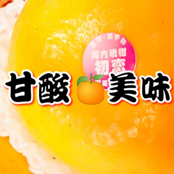 河内晩柑　初恋（はつこい）　7.5キロ　秀２L〜　贈答用．お中元当店オリジナル　２０１０　北海道.東...