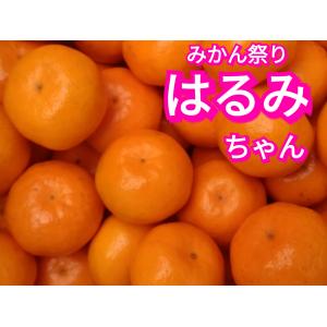　訳あり　はるみちゃん　５キロ　サイズ不揃い愛媛みかん八幡浜椿フルーツ　送料無料