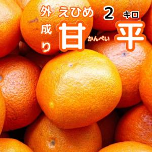 外成り甘平　2キロ　不揃い　愛媛西宇和　かんぺい産地えひめ家庭用わけあり愛媛限定西宇和みかん八幡浜椿フルーツ