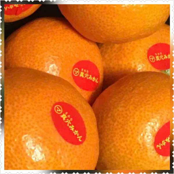 愛媛西宇和　　真穴みかん　2.5キロ　サイズ指定不可　にしうわ厳選産地　一部地域送料