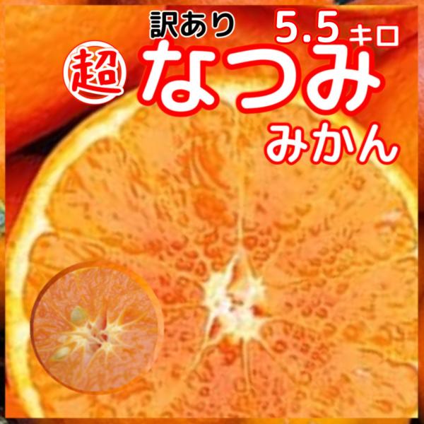 超訳あり　外成りなつみみかん　5.5キロ不揃い　愛媛県産南津海柑橘みかん甘い濃厚八幡浜椿フルーツ送料...