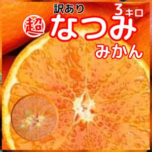 和歌山 南津海 2kg 訳ありなつみ みかん 2S-Lサイズ混合 農園 生産者