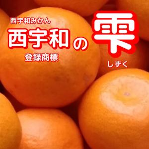 愛媛 真穴みかん規格外 10kg 大きさおまかせ 訳あり・ご家庭用