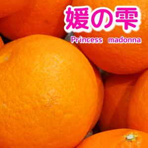 媛の雫　princess　madonna　２０１８　愛媛果試４８号　甘平×紅まどんな！　紅まどんなと甘平のいいとこどり25