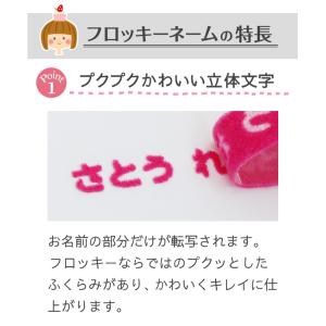 フロッキーネーム 超特大(横) 3枚@の詳細画像3