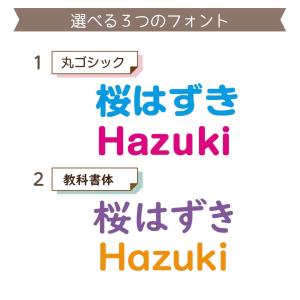 【最短当日出荷】ワッペンみたいな BIGフロッ...の詳細画像4