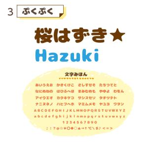 【最短当日出荷】ワッペンみたいな BIGフロッ...の詳細画像5