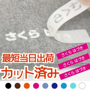 【最短当日出荷】カット済みフロッキーネーム 選べ...の商品画像