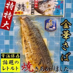 特特大 国産 金華さば 250g 塩糀焼き メール便｜yakuri