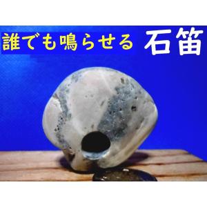 yakusekien_hisuiisi61dd