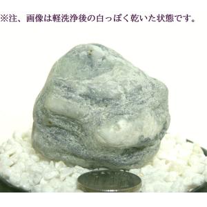 糸魚川翡翠原石 宮崎ヒスイ海岸採取 100ｇ｜yakusekien