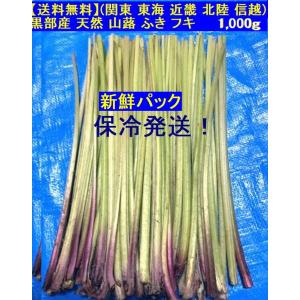 姫川薬石季節の山菜山菜苗の専門店 薬石苑 - Yahoo!ショッピング