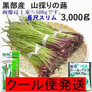 姫川薬石季節の山菜山菜苗の専門店 薬石苑 - Yahoo!ショッピング