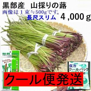姫川薬石季節の山菜山菜苗の専門店 薬石苑 - Yahoo!ショッピング