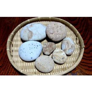 姫川薬石　平型バラエティセット