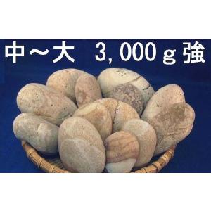 姫川薬石　　中〜大セット