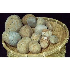 姫川薬石　小〜大セット