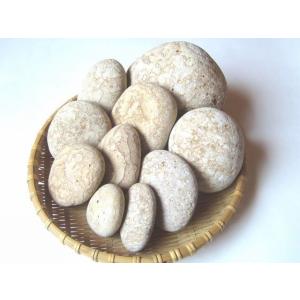 姫川薬石　寅＆虎模様大〜小セット