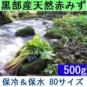 姫川薬石季節の山菜山菜苗の専門店 薬石苑 - Yahoo!ショッピング