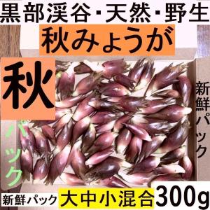 糸魚川翡翠姫川薬石専門店 薬石苑 - Yahoo!ショッピング