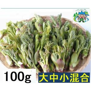 【薬石苑】姫川薬石 手造りかっさ＆ツボ押しプレート【翠岳：作】 100ｍｍ60ｇ 姫川薬石でかっさプレート加工 – 天然石工房cue通信