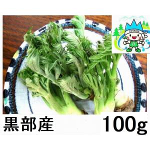 姫川薬石季節の山菜山菜苗の専門店 薬石苑 - Yahoo!ショッピング