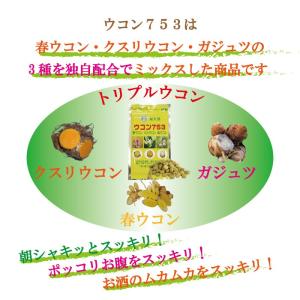 ウコン753 300粒 約1ヶ月分 サプリメン...の詳細画像2