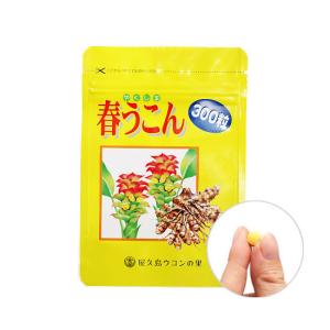 春ウコン粒 屋久島 300粒4個セット サプリ...の詳細画像2