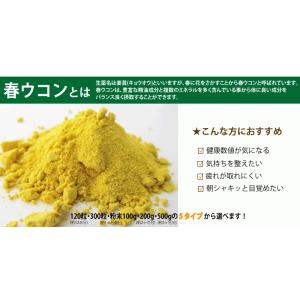 春ウコン粒 屋久島 300粒4個セット サプリ...の詳細画像3