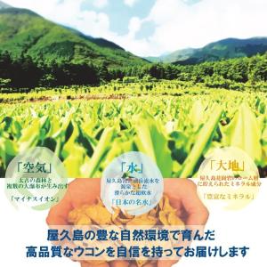 春ウコン粒 屋久島 300粒4個セット サプリ...の詳細画像4