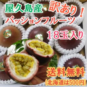 ＜中＞屋久島産 訳ありパッションフルーツ 18玉入り　