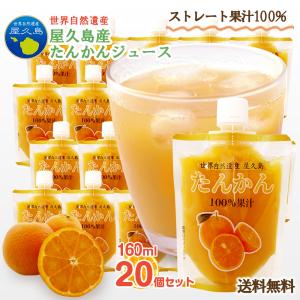 山々　屋久島たんかん　MS 、加工 20キロ 奇跡のたんかん】屋久島産（2L×9玉）＜道法スタイル／無肥料＞ - やく