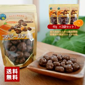 屋久島たんかんプチピールチョコ  45g×3パック セット 国産 オレンジピールチョコレート