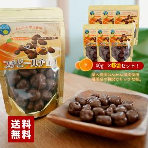 屋久島たんかんプチピールチョコ  40g×6パック セット 国産　オレンジピールチョコレート　送料無料　