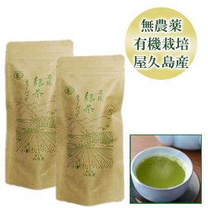 お茶 緑茶 屋久島茶ティーバッグ 2袋 セット  無農薬 有機栽培 産地直送 [M便 1/1]