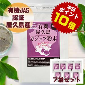屋久島ガジュツ粉末100g 7袋セット 無農薬 有機栽培 産地直送