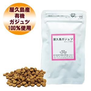 サプリ 屋久島ガジュツ粒100粒 ポッキリ 1,000円 お試し 無農薬 有機栽培 産地直送 サプリメント [M便 1/3]｜yakushimashop