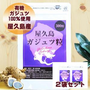 和草堂 莪述 ガジュツ 粒タイプ 240g : 真心堂ヤフーショッピング店 