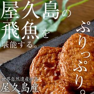 屋久トビのすり身 ３パックセット 飛び魚 つけ揚げ さつま揚げ